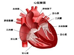 心脏病